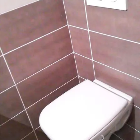 Confortable A 25 M² Avec Vue Sur Jardin Apartment Taninges
